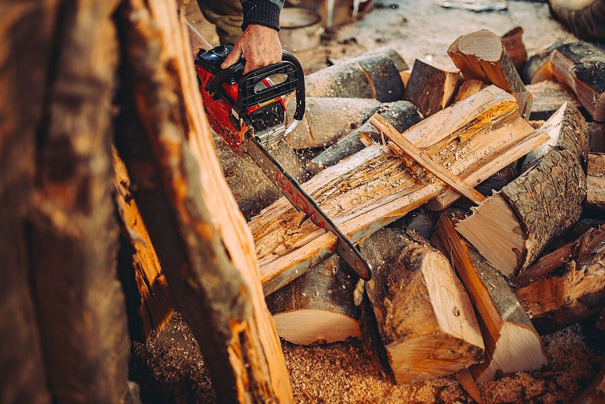 Découpe de bois de chauffage à la tronçonneuse