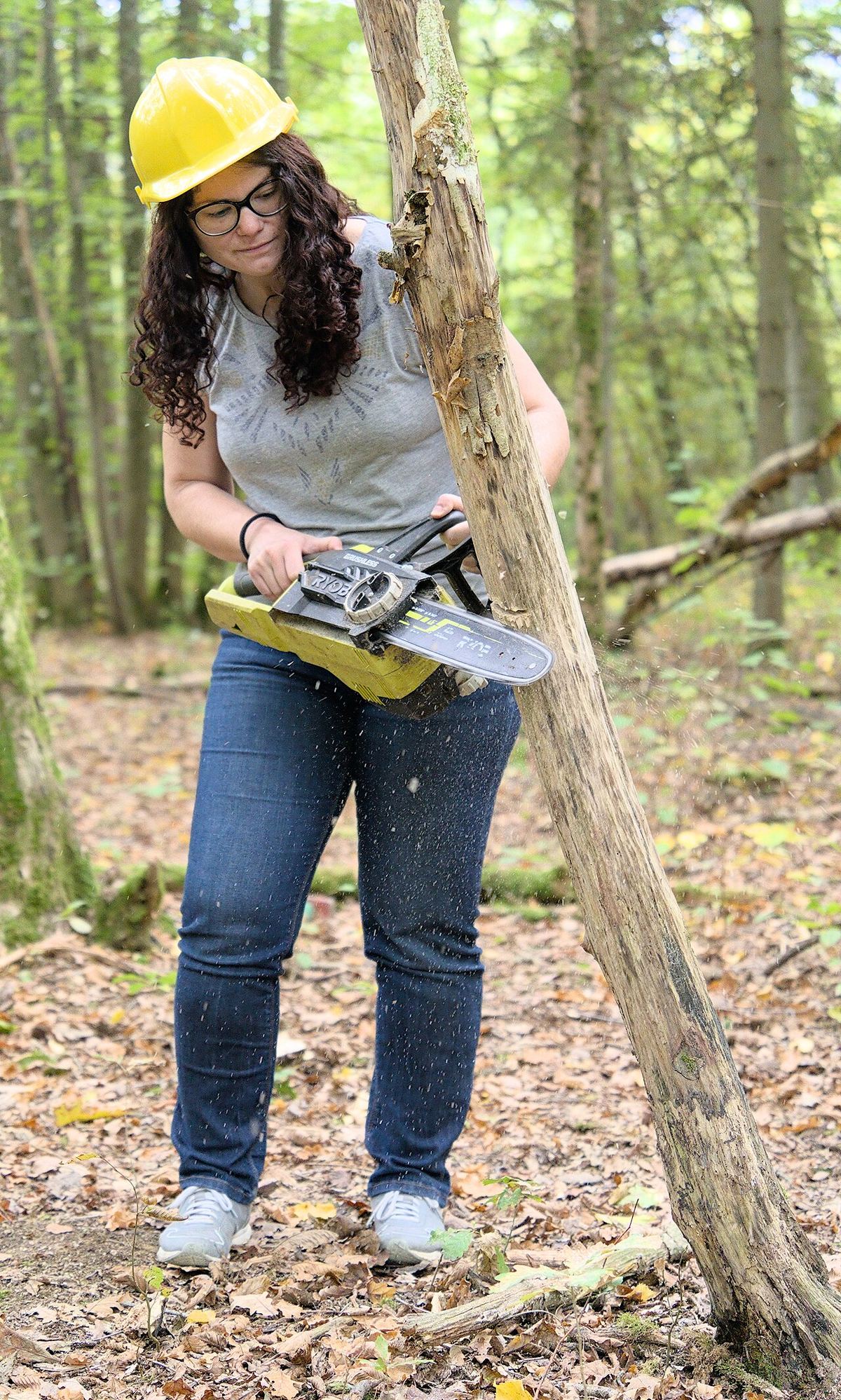 Coupe d’un arbre mort avec une tronçonneuse Ryobi à batterie