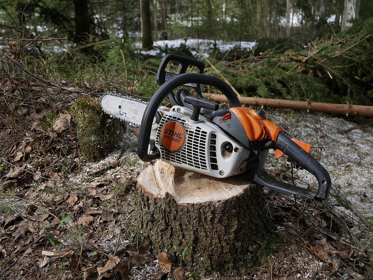 Tronçonneuse Stihl MS 192 C